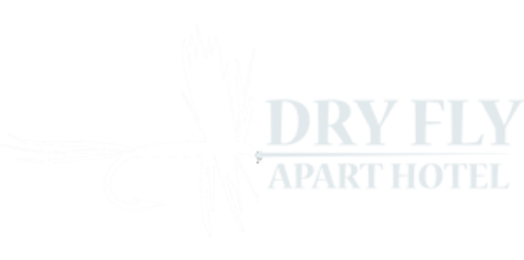 Apart Dry Fly